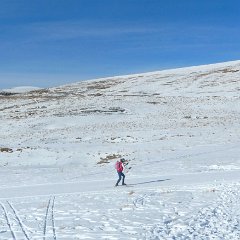 P1170387     Fondista in azione.